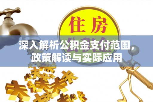 阜沙深入解析公积金支付范围，政策解读与实际应用