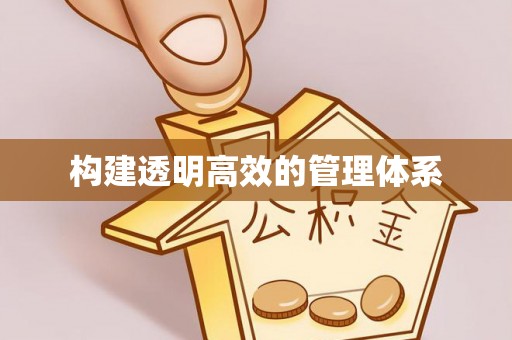 阜沙构建透明高效的管理体系