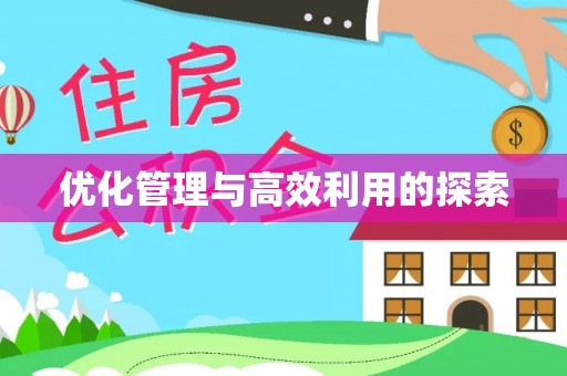 阜沙优化管理与高效利用的探索