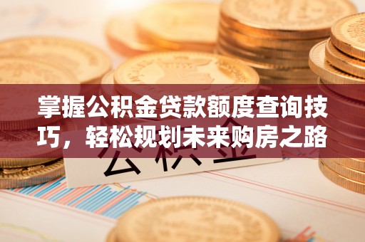 阜沙掌握公积金贷款额度查询技巧，轻松规划未来购房之路