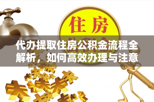 阜沙代办提取住房公积金流程全解析，如何高效办理与注意事项