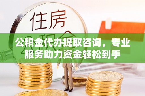 阜沙公积金代办提取咨询，专业服务助力资金轻松到手