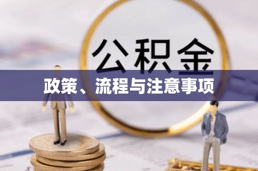 阜沙政策、流程与注意事项