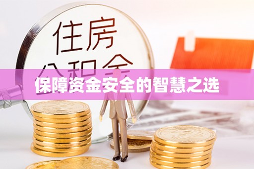阜沙保障资金安全的智慧之选