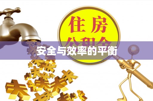 阜沙安全与效率的平衡