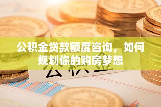 阜沙公积金贷款额度咨询，如何规划你的购房梦想