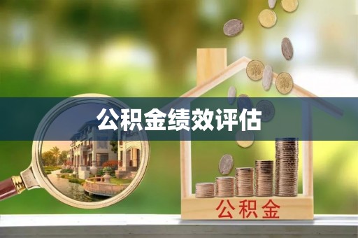 阜沙公积金绩效评估