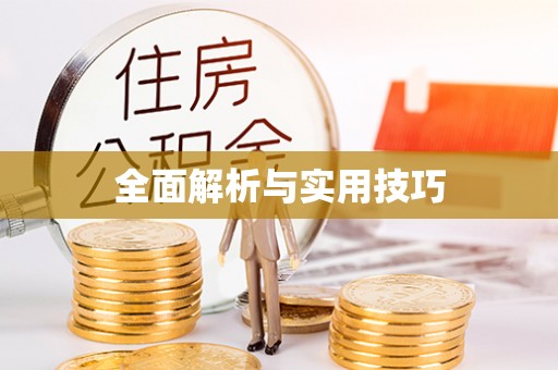 阜沙全面解析与实用技巧