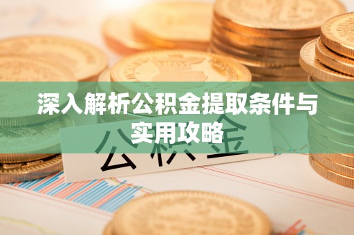 阜沙深入解析公积金提取条件与实用攻略