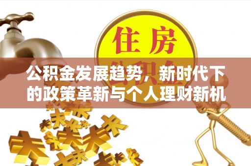 阜沙公积金发展趋势，新时代下的政策革新与个人理财新机遇
