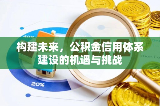 阜沙构建未来，公积金信用体系建设的机遇与挑战