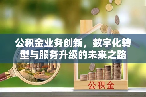 阜沙公积金业务创新，数字化转型与服务升级的未来之路