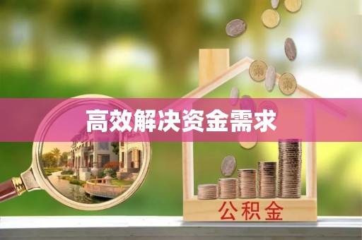 阜沙高效解决资金需求