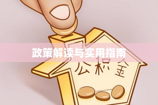 阜沙政策解读与实用指南