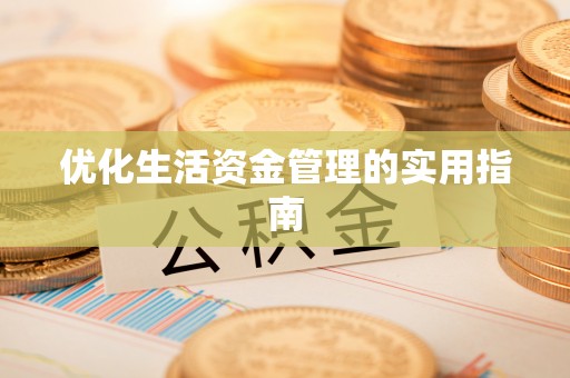 阜沙优化生活资金管理的实用指南