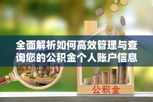 阜沙全面解析如何高效管理与查询您的公积金个人账户信息
