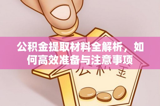 阜沙公积金提取材料全解析，如何高效准备与注意事项