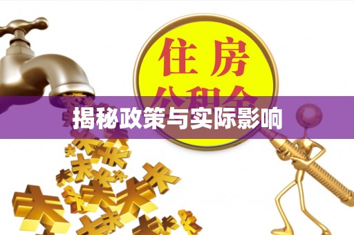 阜沙揭秘政策与实际影响