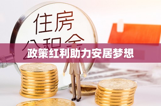 阜沙政策红利助力安居梦想