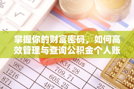 阜沙掌握你的财富密码，如何高效管理与查询公积金个人账户信息