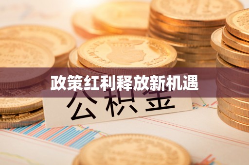 阜沙政策红利释放新机遇