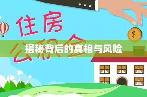 阜沙揭秘背后的真相与风险