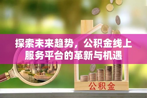 阜沙探索未来趋势，公积金线上服务平台的革新与机遇