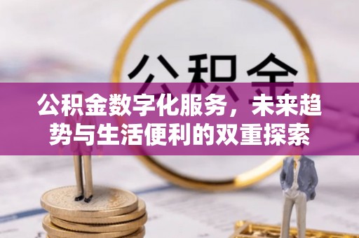 阜沙公积金数字化服务，未来趋势与生活便利的双重探索