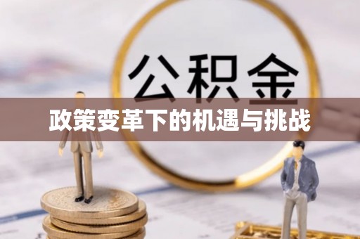 阜沙政策变革下的机遇与挑战