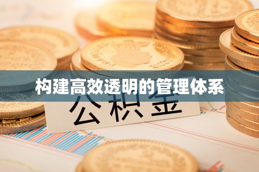 阜沙构建高效透明的管理体系