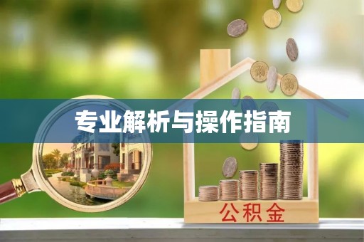 阜沙专业解析与操作指南