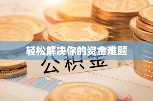 阜沙轻松解决你的资金难题