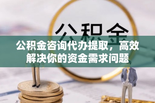 阜沙公积金咨询代办提取，高效解决你的资金需求问题
