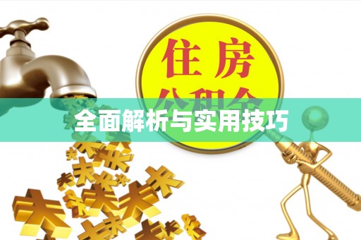 阜沙全面解析与实用技巧