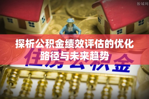 阜沙探析公积金绩效评估的优化路径与未来趋势