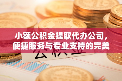 阜沙小额公积金提取代办公司，便捷服务与专业支持的完美结合