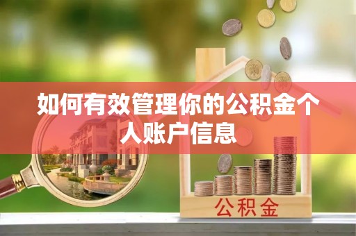 阜沙如何有效管理你的公积金个人账户信息