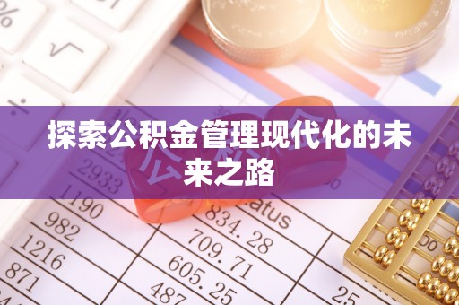 阜沙探索公积金管理现代化的未来之路