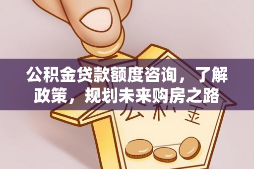 阜沙公积金贷款额度咨询，了解政策，规划未来购房之路
