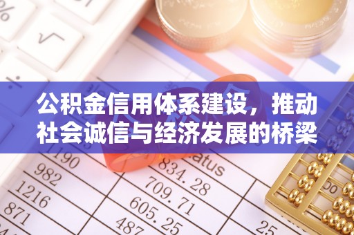 阜沙公积金信用体系建设，推动社会诚信与经济发展的桥梁