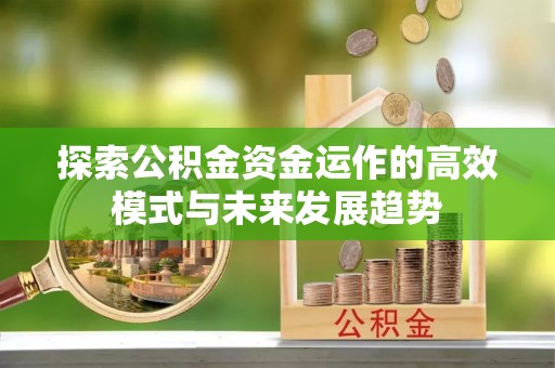 阜沙探索公积金资金运作的高效模式与未来发展趋势