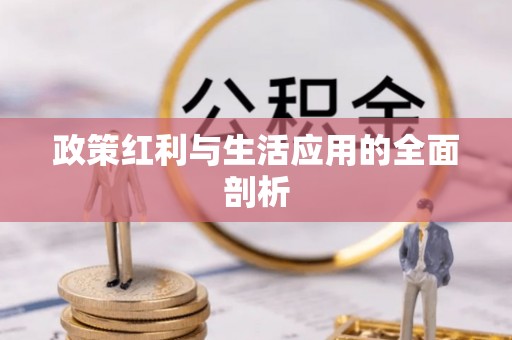 阜沙政策红利与生活应用的全面剖析