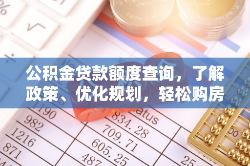 阜沙公积金贷款额度查询，了解政策、优化规划，轻松购房不是梦