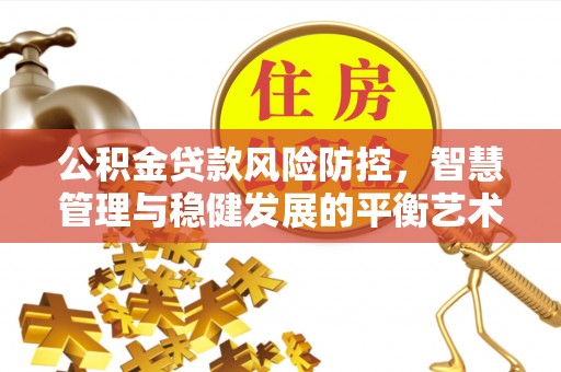 阜沙公积金贷款风险防控，智慧管理与稳健发展的平衡艺术