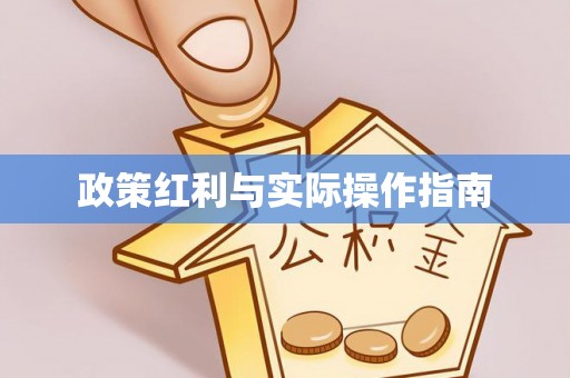 阜沙政策红利与实际操作指南