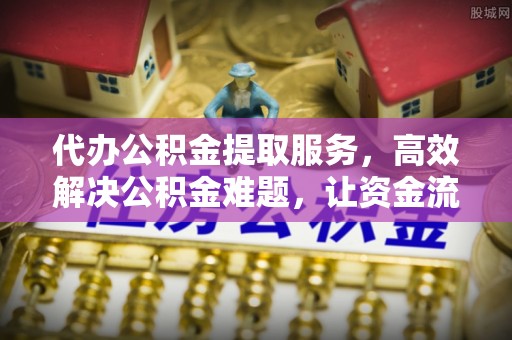 阜沙代办公积金提取服务，高效解决公积金难题，让资金流动更自由