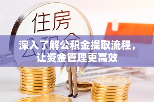 阜沙深入了解公积金提取流程，让资金管理更高效