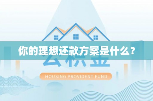 阜沙你的理想还款方案是什么？