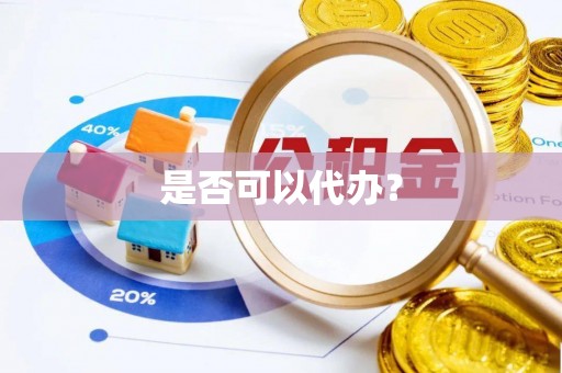 阜沙是否可以代办？