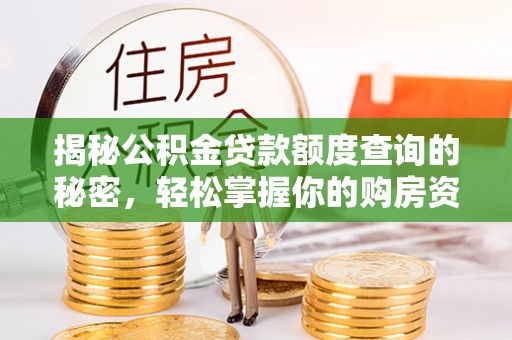 阜沙揭秘公积金贷款额度查询的秘密，轻松掌握你的购房资金